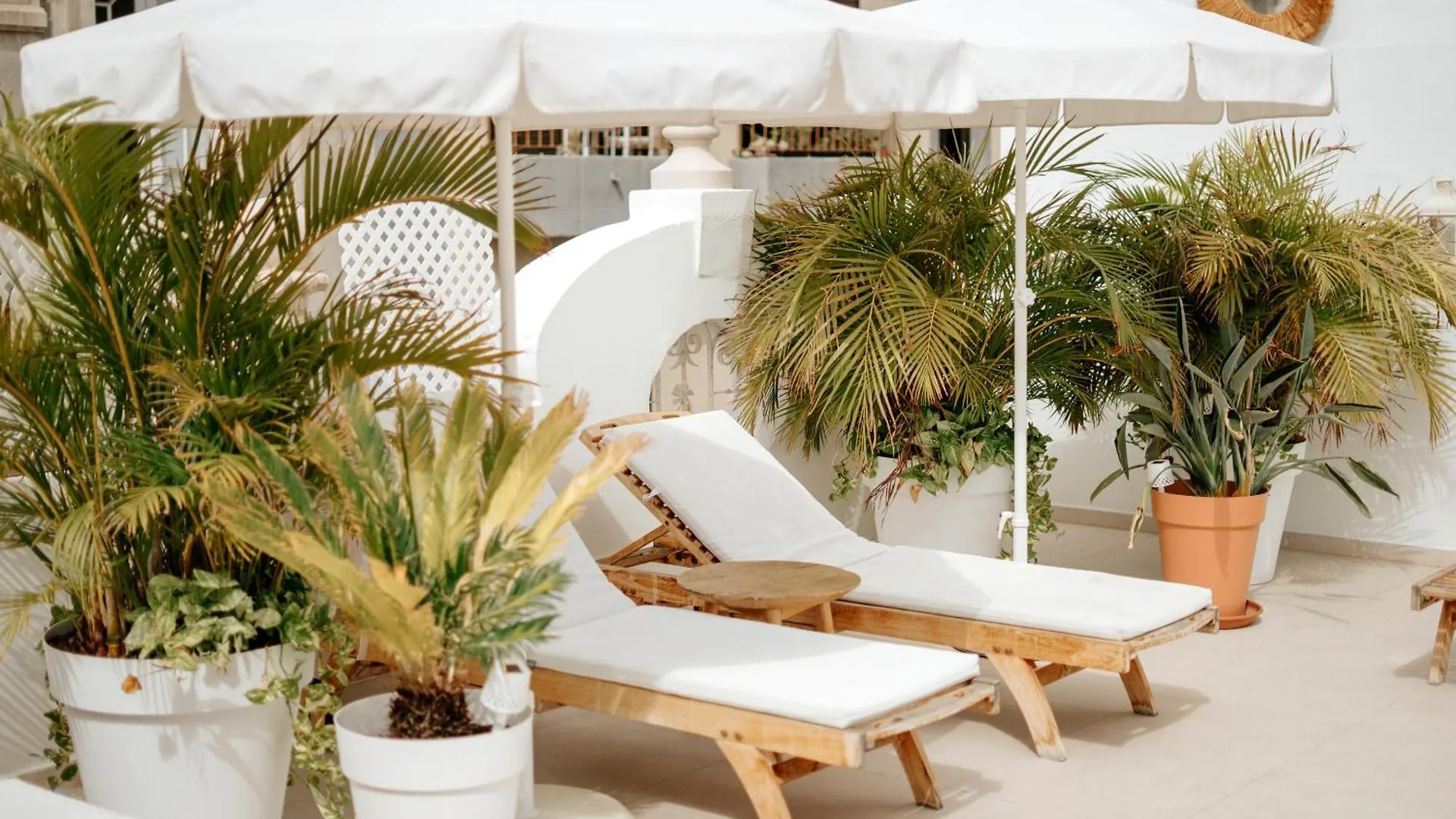 Emblematico F24-Only Adults B&B Santa Cruz de Tenerife Hotel